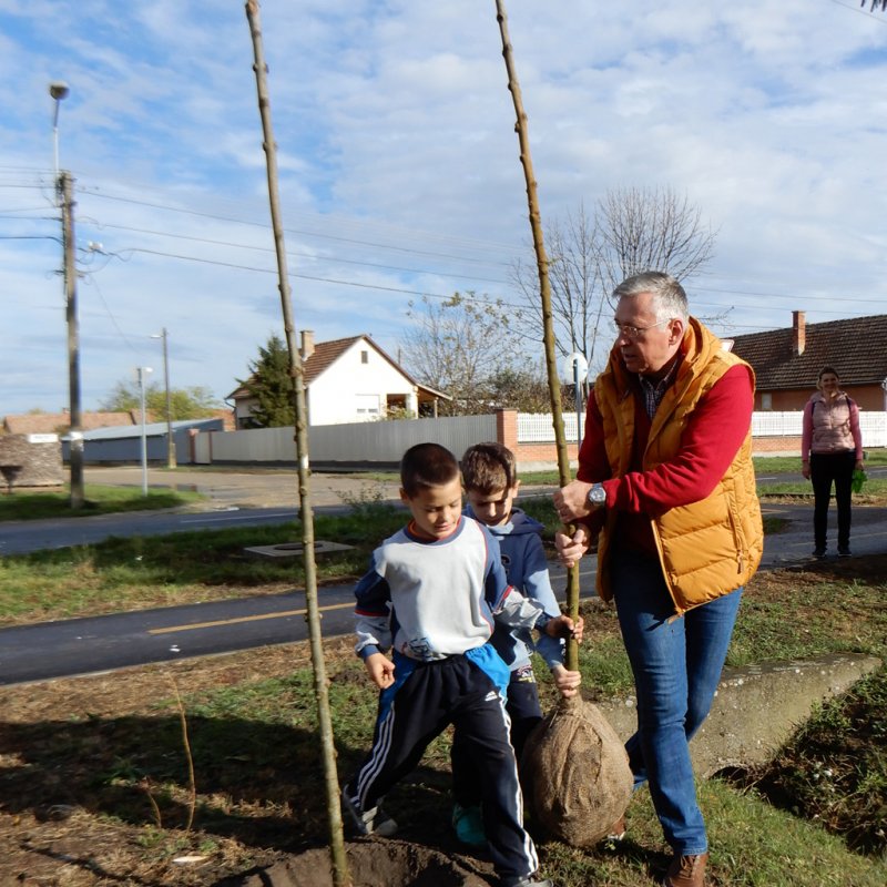 Közösségi faültetés Berettyóújfaluban 02
